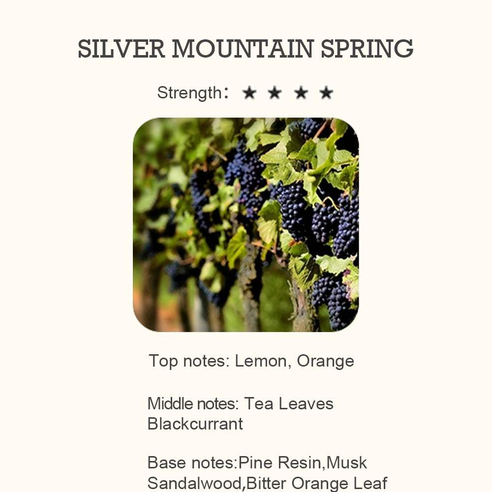 Silver Mountain